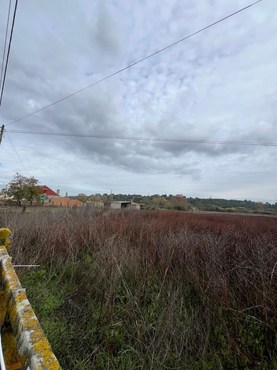 Terreno junto à cidade a pegar com rio Nabão!! 5 / 5